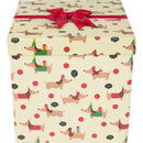 Caixa Flat Com Laço