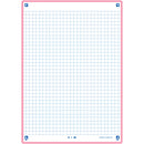 Flashcards 2.0 A5  30 Folhas Rosa Oxford