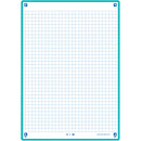 Flashcards 2.0 A5  30 Folhas Icemint Oxford