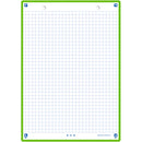 Flashcards 2.0 A5  30 Folhas Quadriculado Verde Oxford