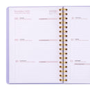 Diário 25-26 Semanal - Effort Action Success