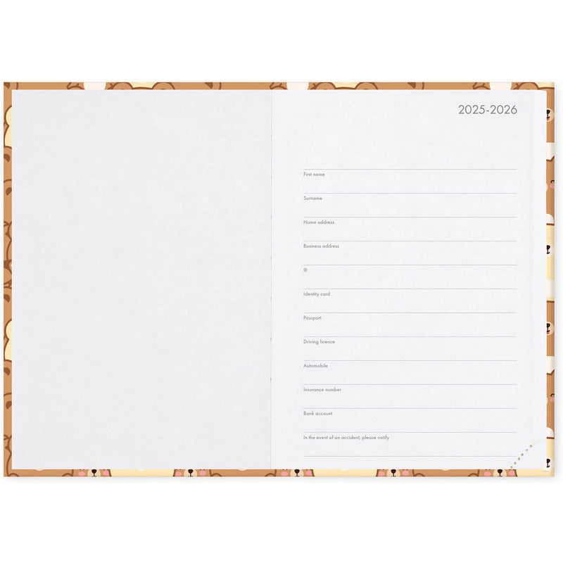 Agenda 16 Meses 25-26 Médio - Urso