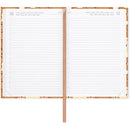 Agenda 16 Meses 25-26 Médio - Urso