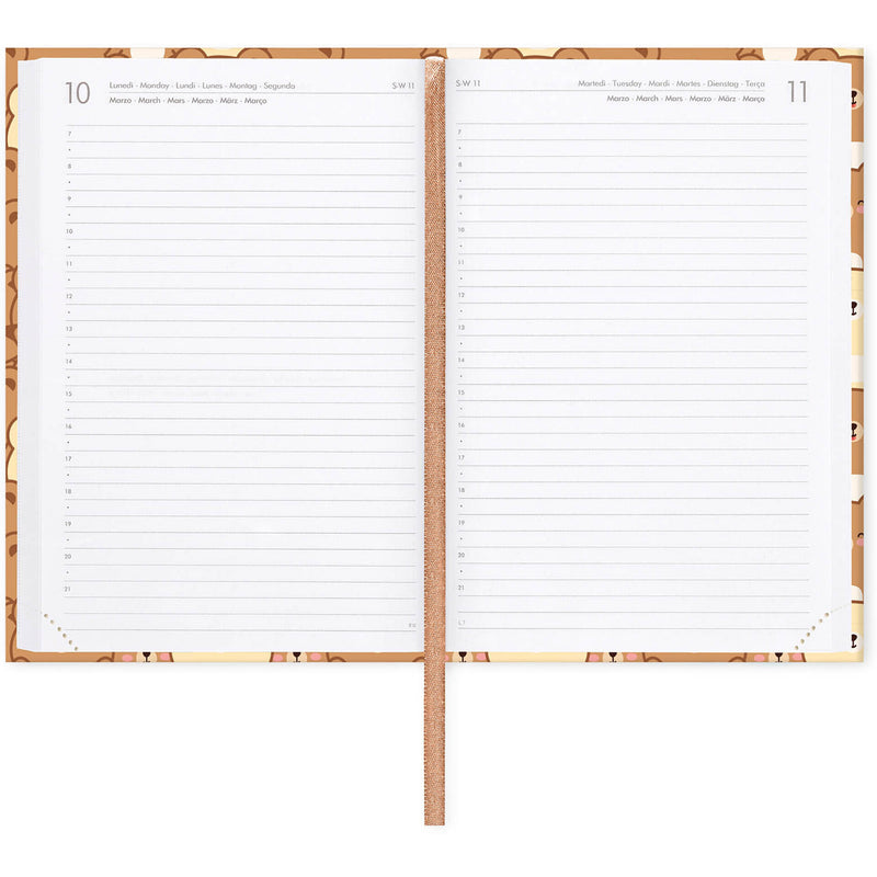 Agenda 16 Meses 25-26 Médio - Urso