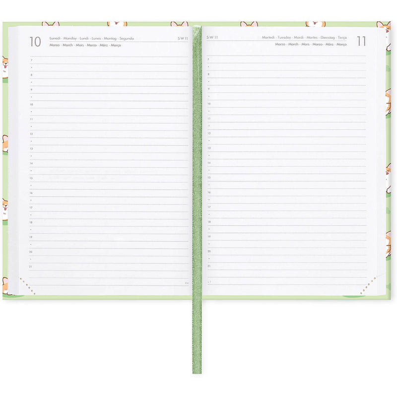 Agenda 16 Meses 25-26 Médio - Corgi Azul