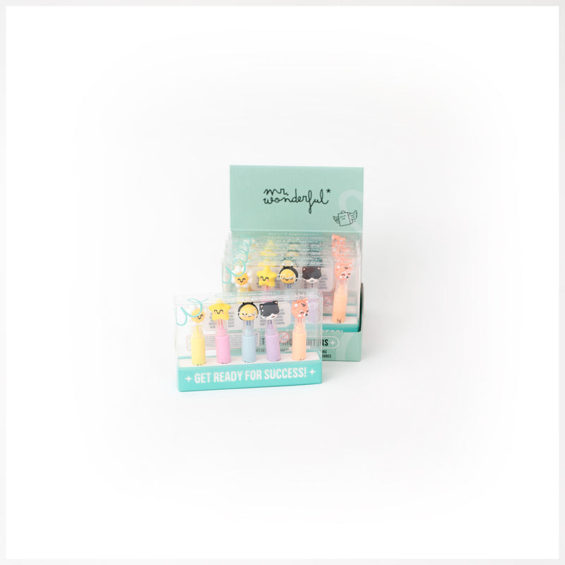 Conjunto Estojo + 5 Sublinhadores - Colour