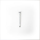 Caneta Apagar Bo Bo - Guaxinim