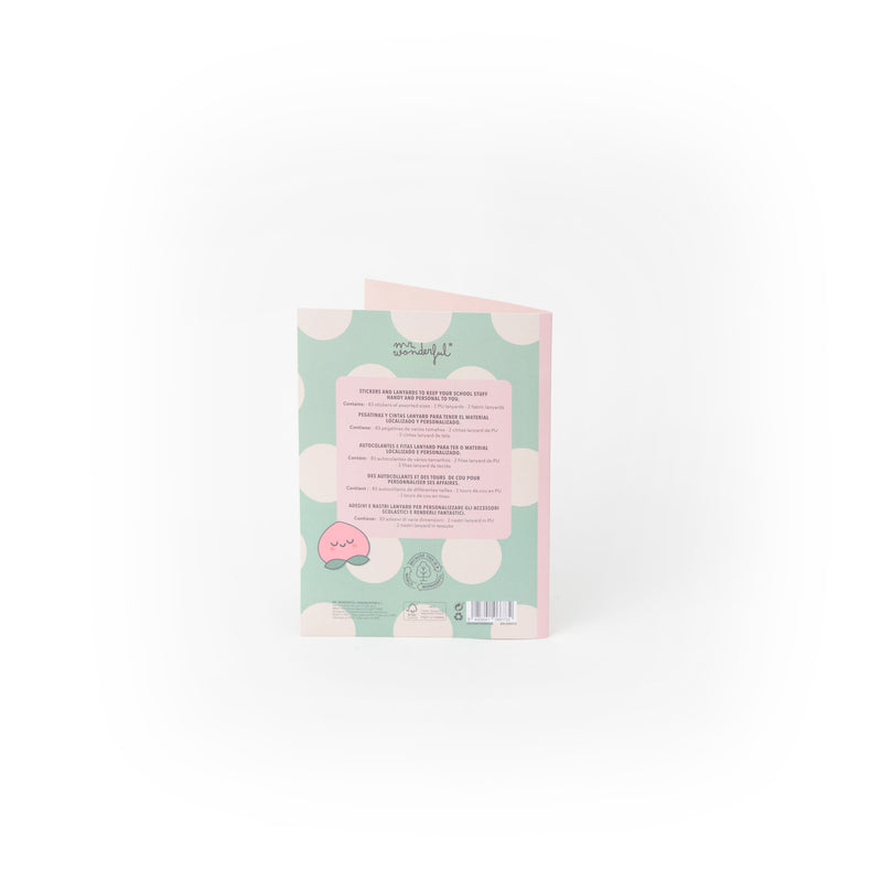 Conjunto Autocolantes E Cordões