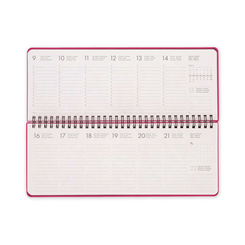Agenda 12 Meses 2026 - Planner Framboesa