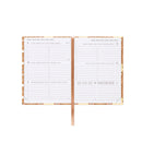 Agenda 12 Meses 2026 - Urso Mini