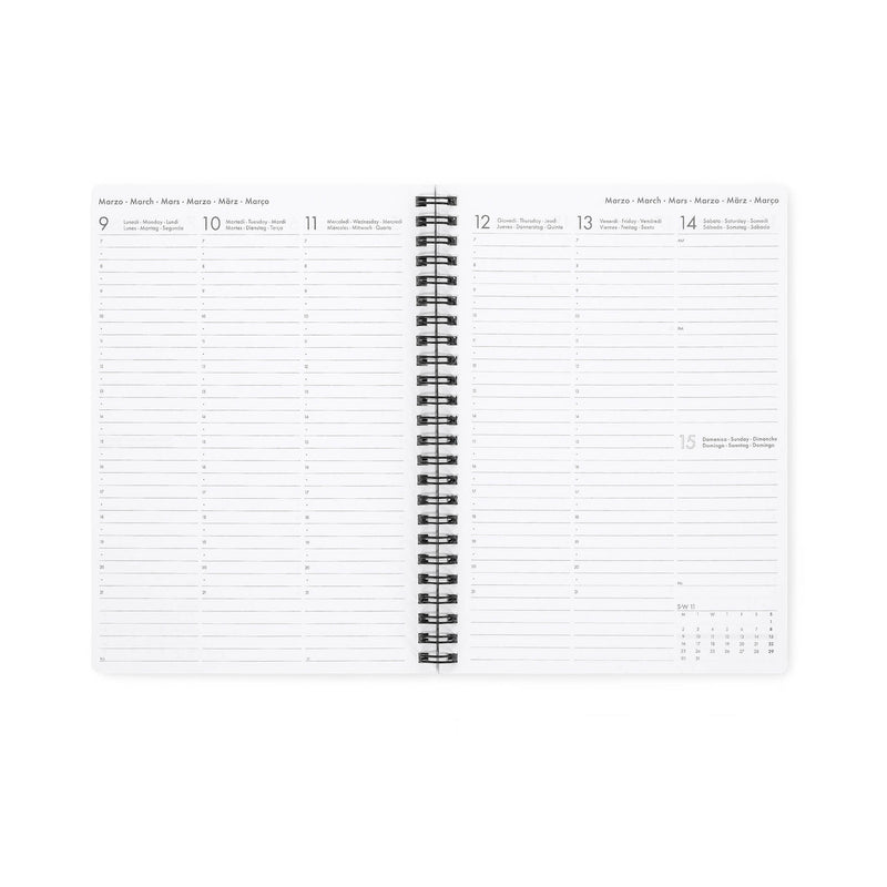 Agenda 12 Meses 2026 - Magic Espiral