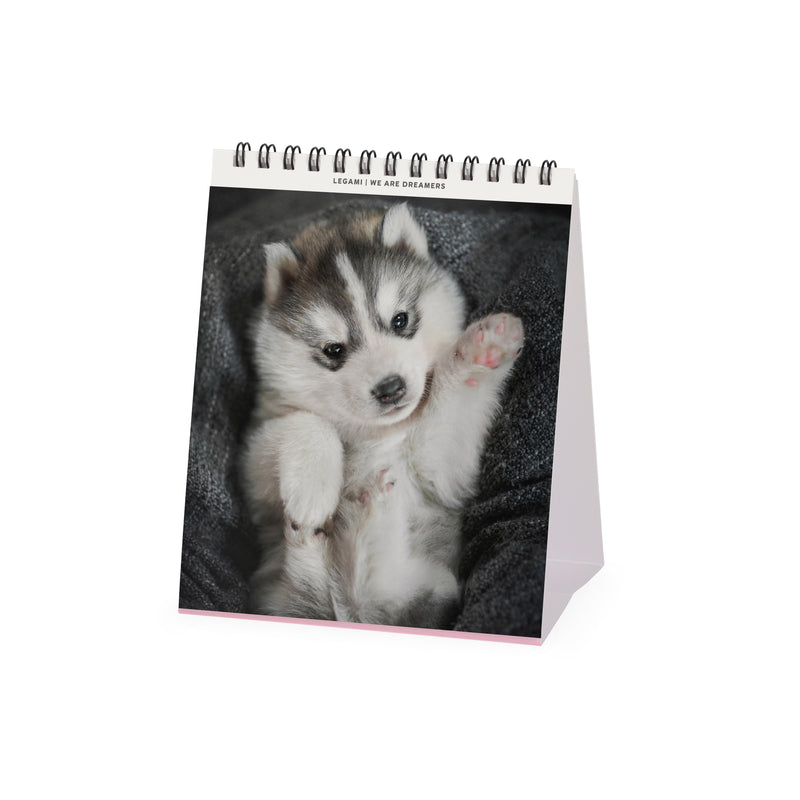 Calendário 2026 - Puppies 12X14,5