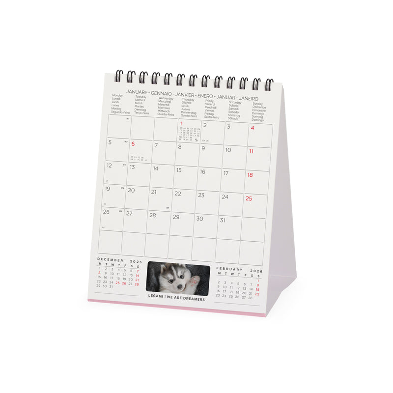 Calendário 2026 - Puppies 12X14,5