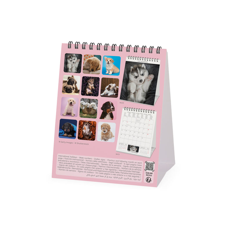 Calendário 2026 - Puppies 12X14,5