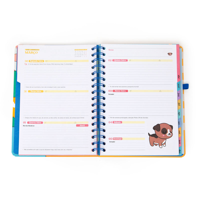 Agenda Wonder 2026 - Planos Random