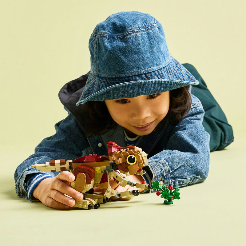 Dinossauro Bebé Dolores: Aquilops Lego