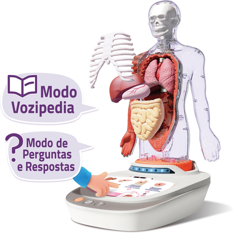Corpo Humano: Vozpedia