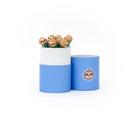 Caneta Com Luz - Preguiça