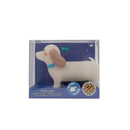 Luz De Noite Mágica - Cão