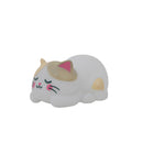 Luz De Noite Mágica  - Gato