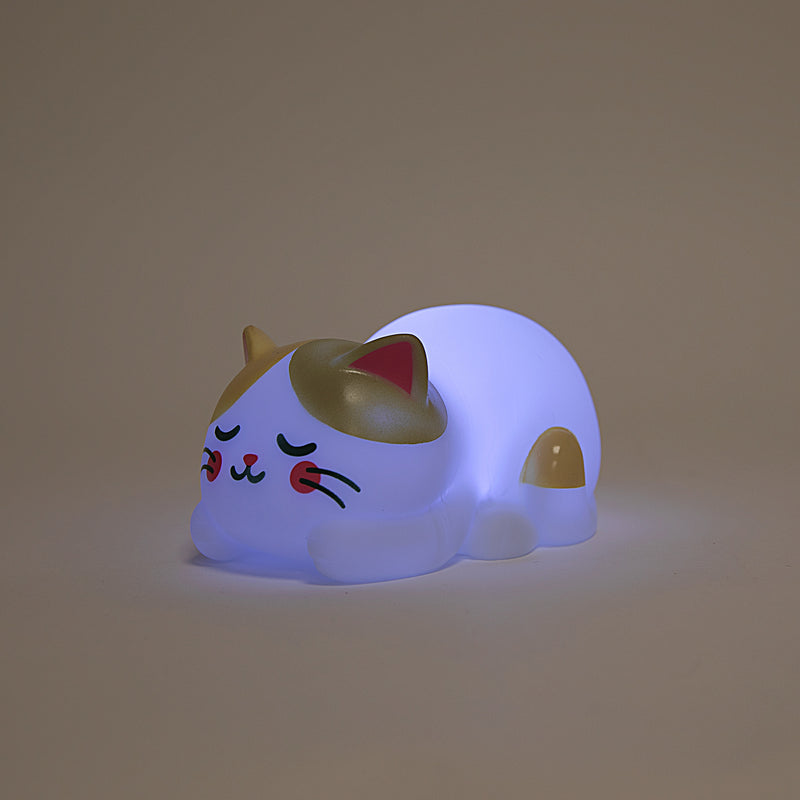 Luz De Noite Mágica  - Gato