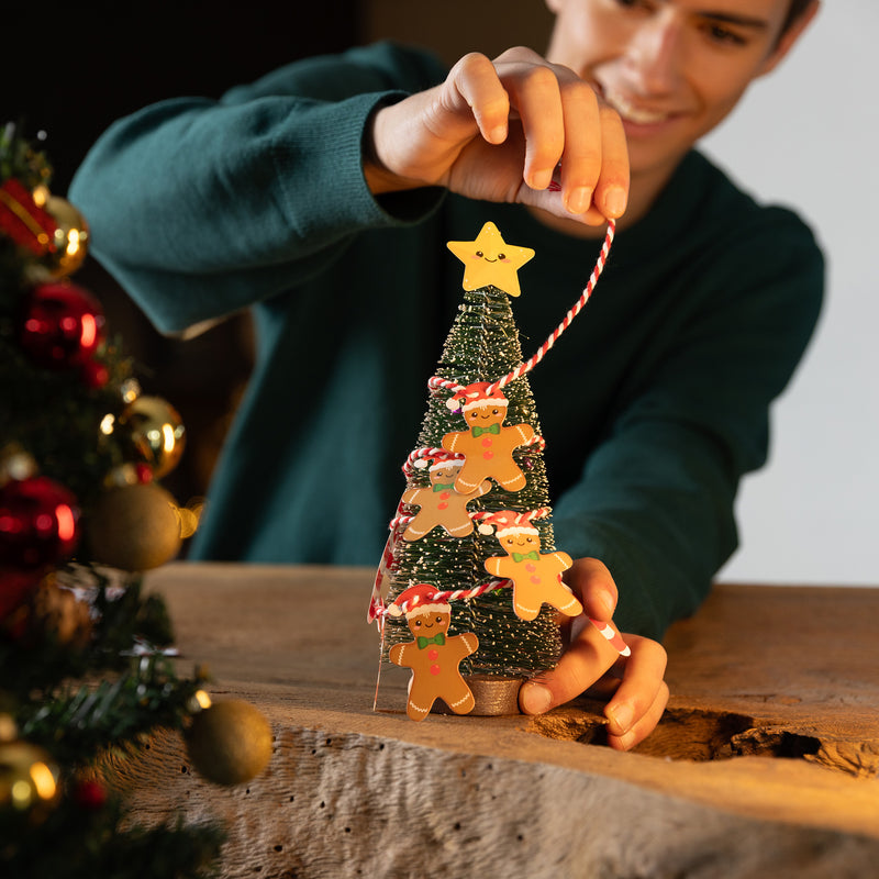 Kit Decoração Secretaria Natalicio