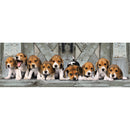 Puzzle 1000 Pçs Panorama Beagles