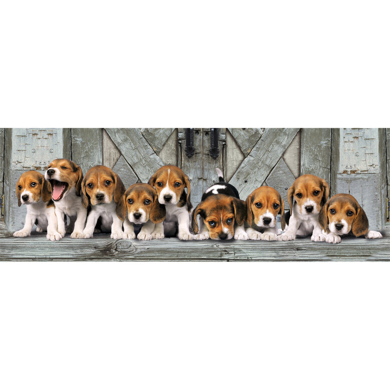 Puzzle 1000 Pçs Panorama Beagles