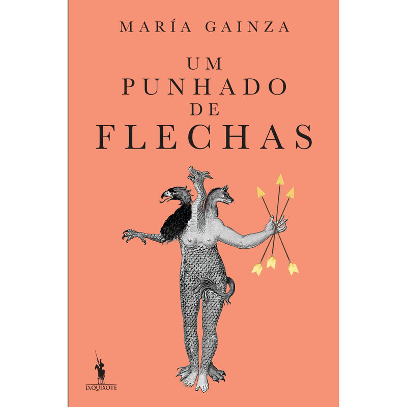 Um Punhado De Flechas de María Gainza