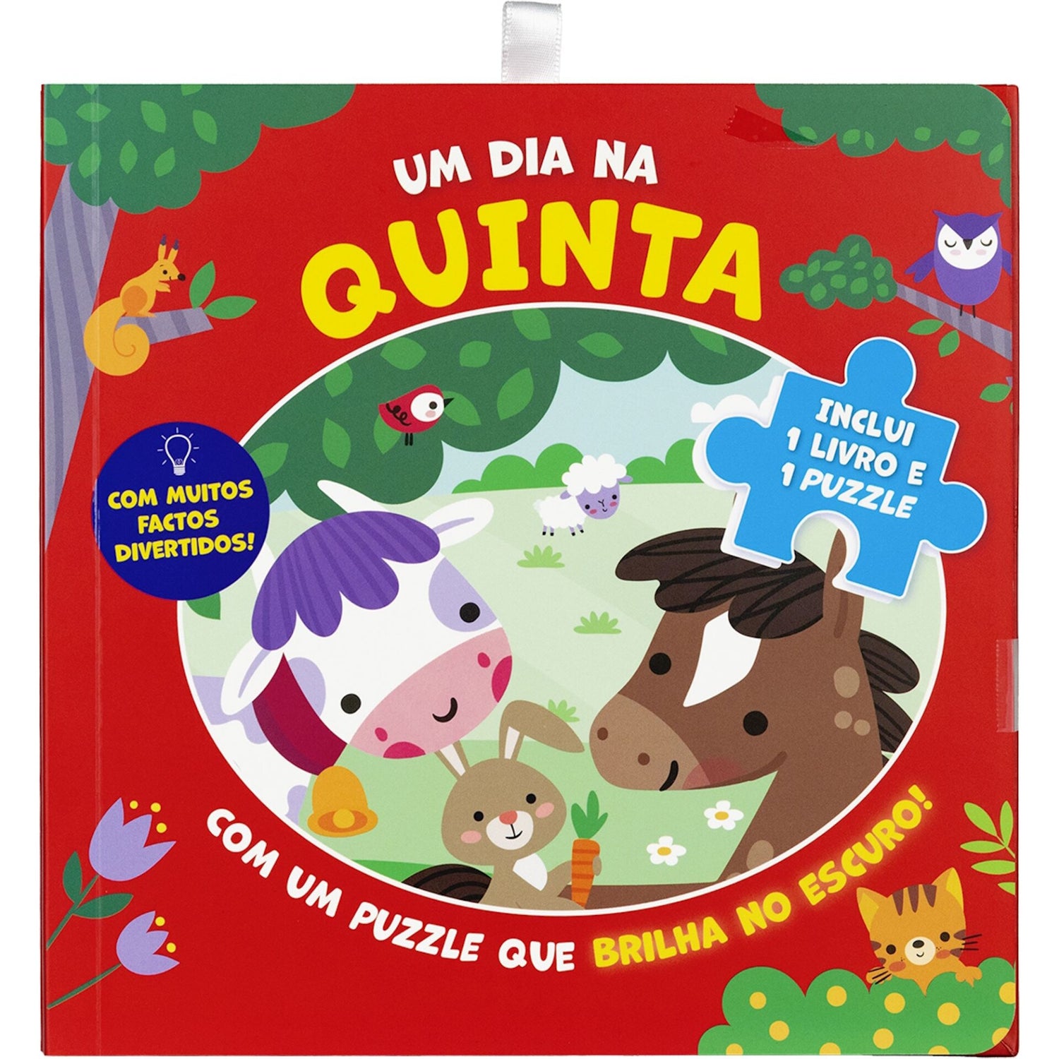 Um dia na quinta