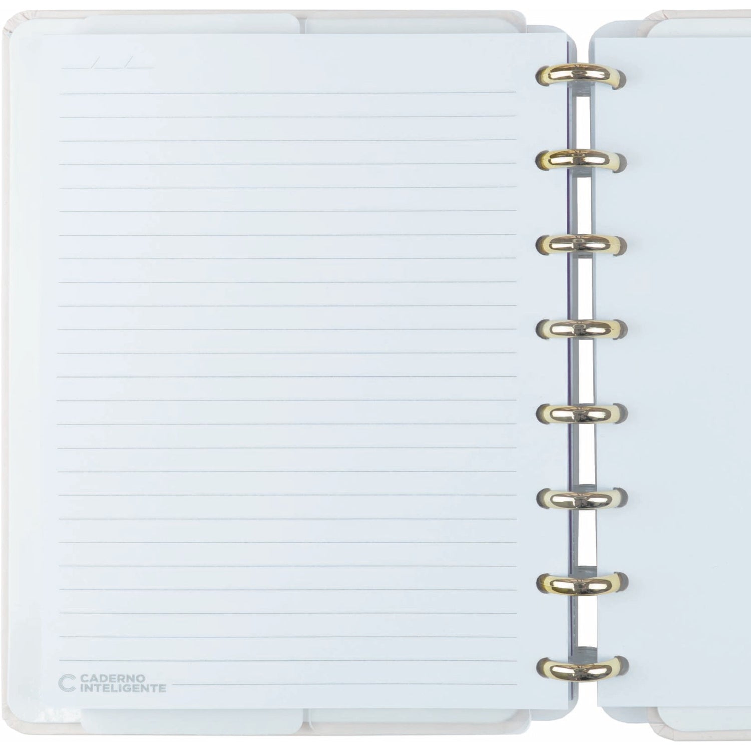Caderno Inteligente Formato A5 Rose Key By Isabela Akkari Caderno Inteligente