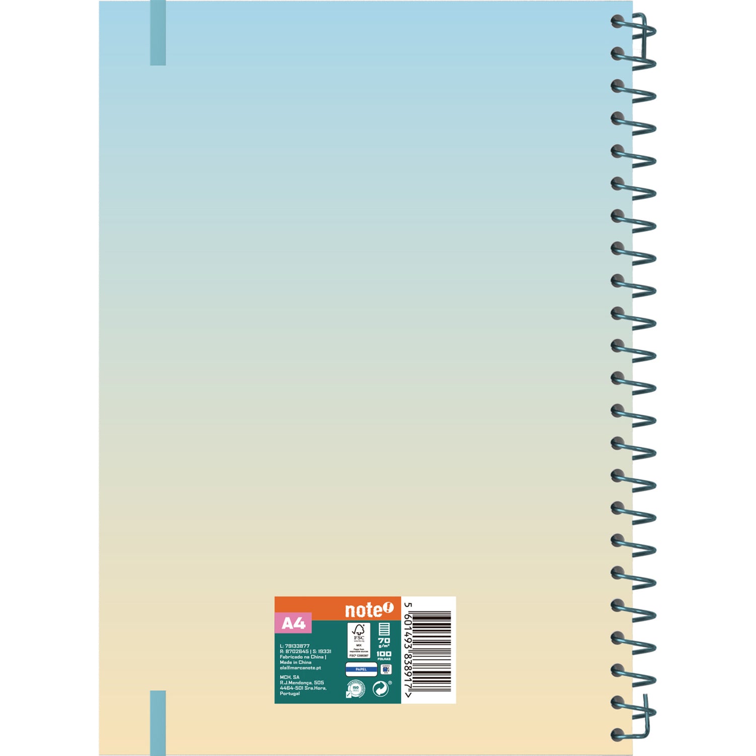 Caderno Esp Formato A4 Pp P 100 F 70 G Iris