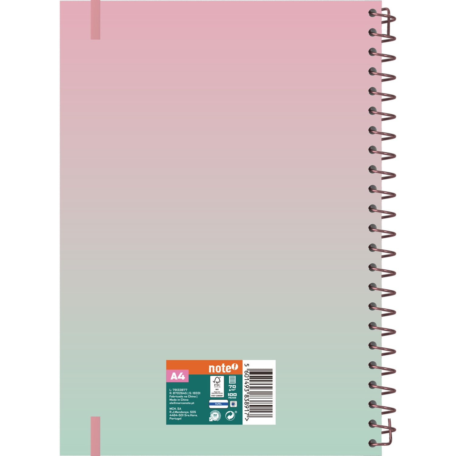 Caderno Esp Formato A4 Pp P 100 F 70 G Iris