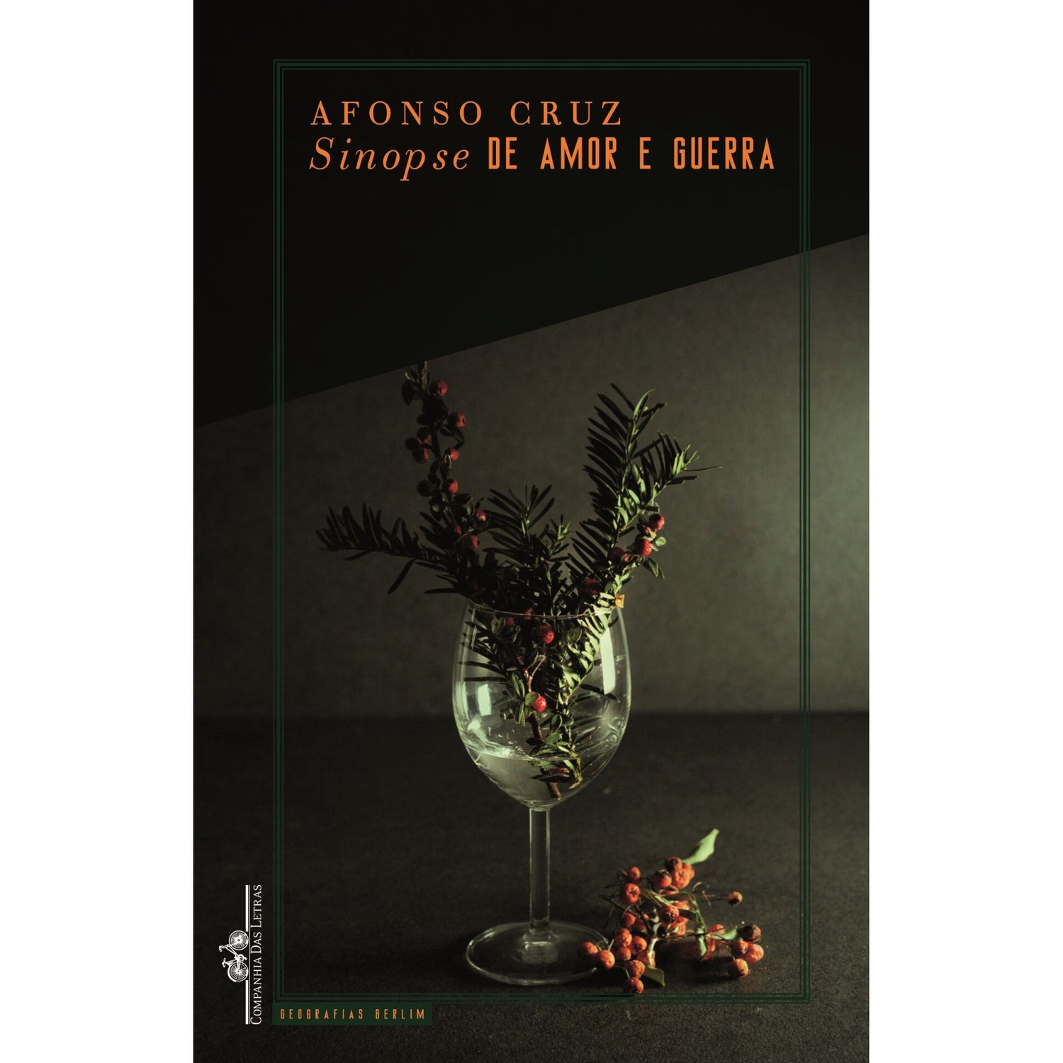 Sinopse De Amor E Guerra de Afonso Cruz