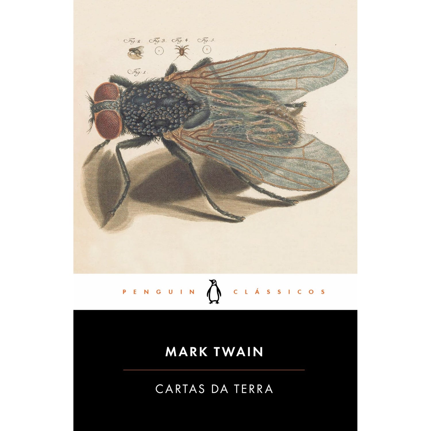 Cartas Da Terra de Mark Twain