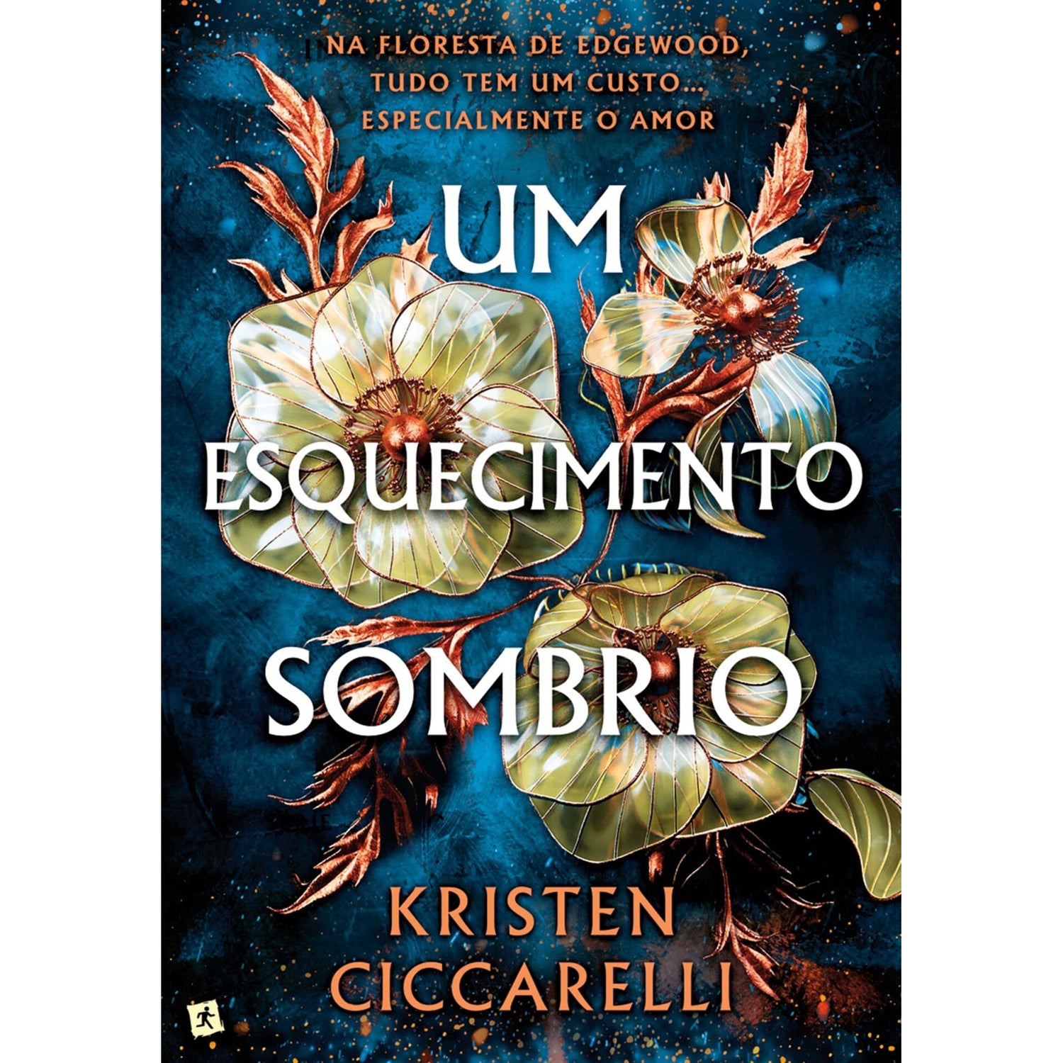 Um Esquecimento Sombrio de Kristen Ciccarelli
