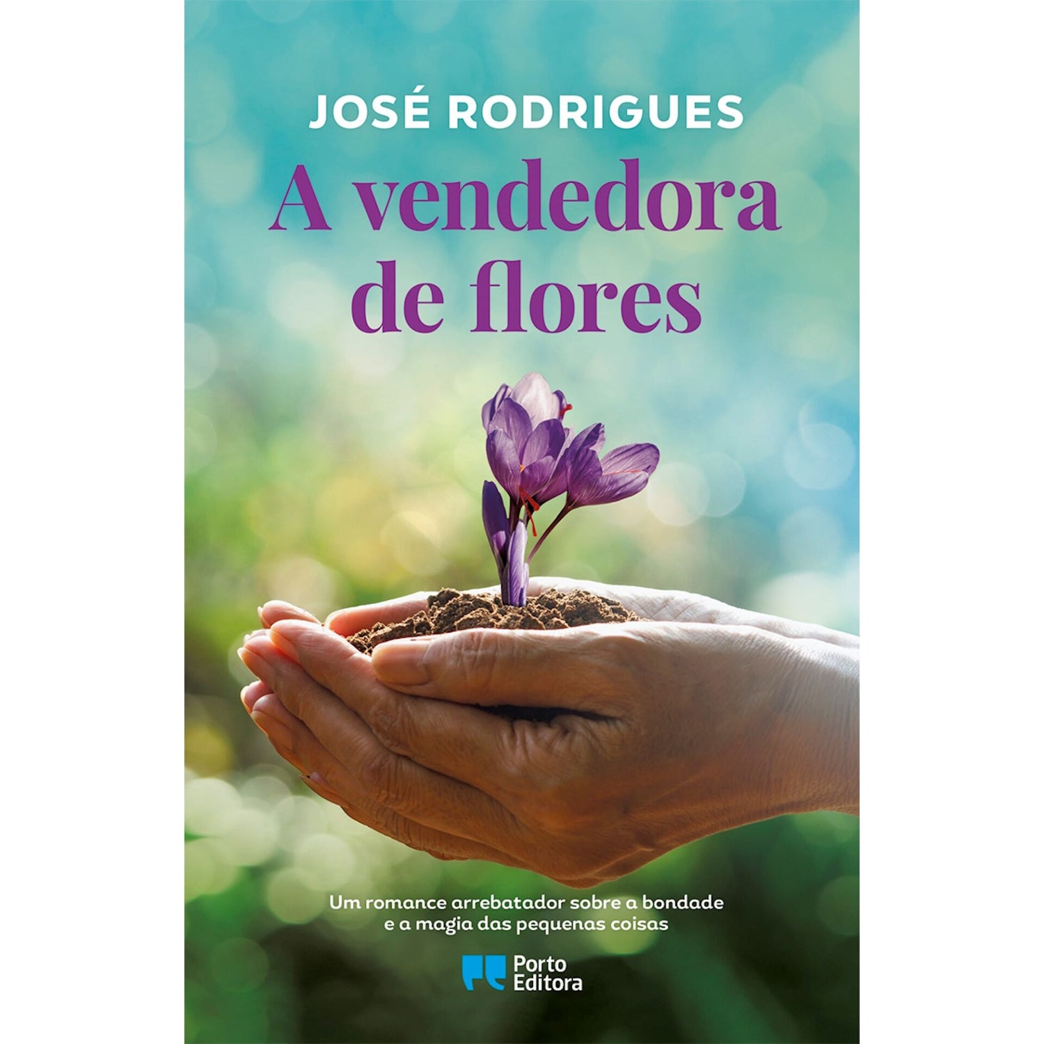 A Vendedora De Flores de José Rodrigues