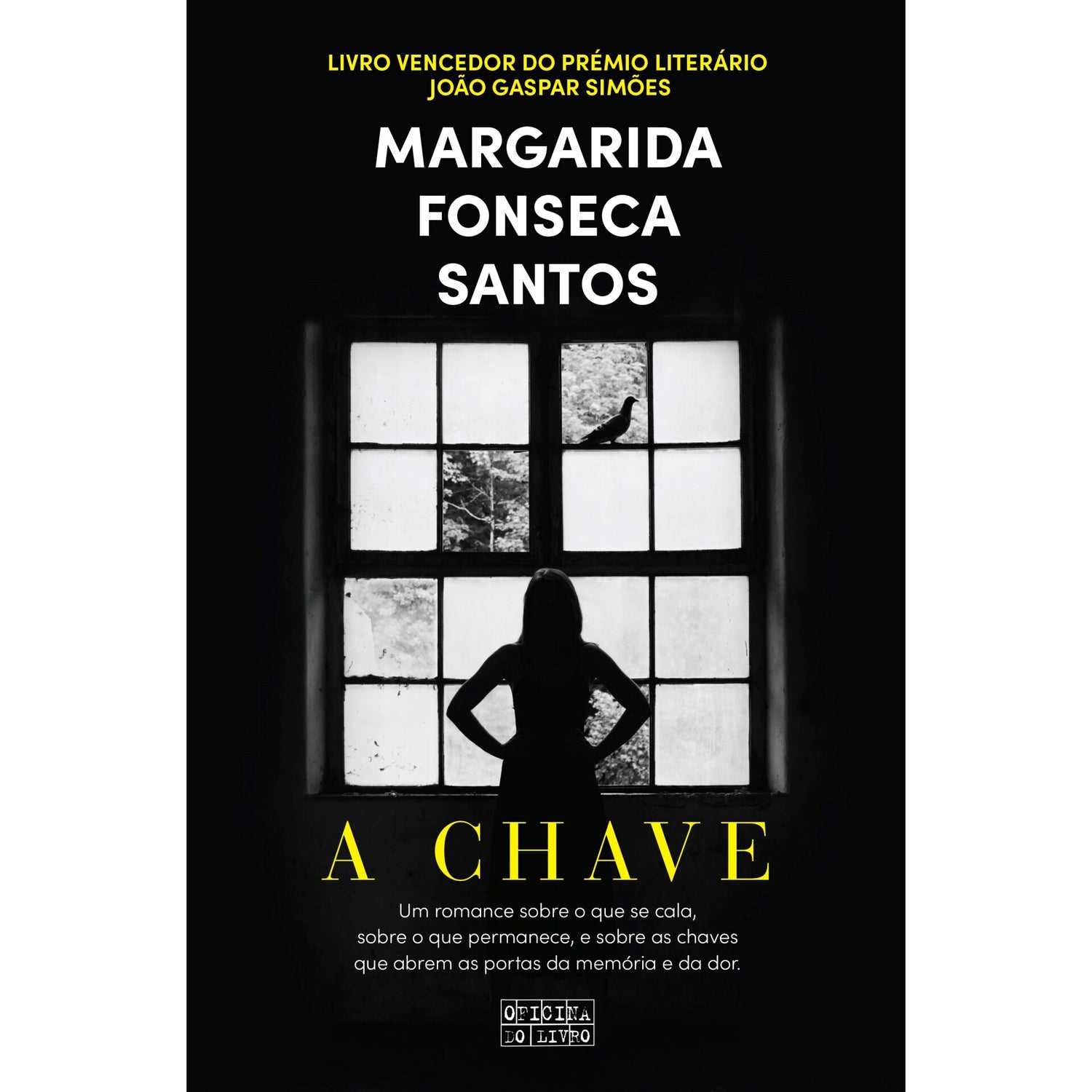 A Chave de Margarida Fonseca Santos