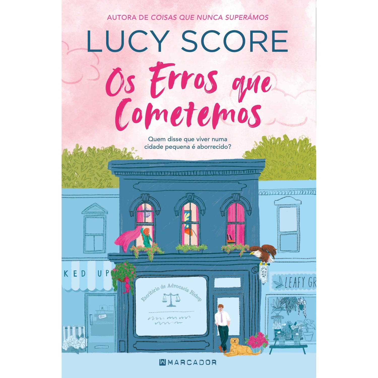 Os Erros Que Cometemos de Lucy Score
