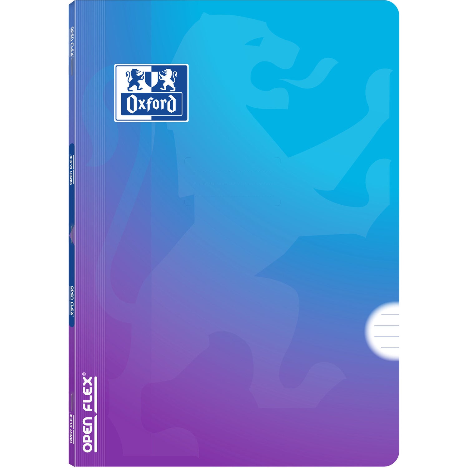 Caderno Agraf Formato A4 P 48 F 90 G Openflex Gradient
