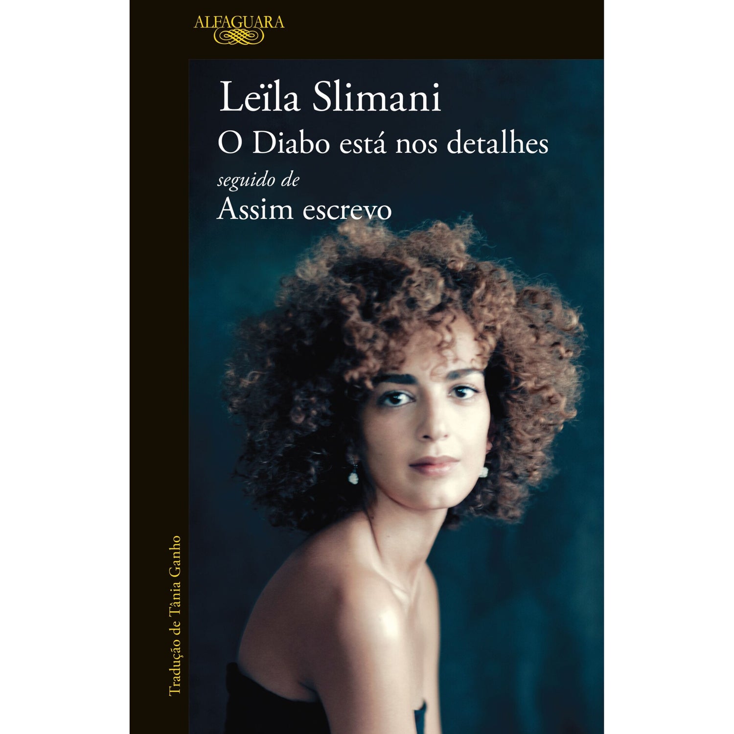 O Diabo Está Nos Detalhes de Leïla Slimani