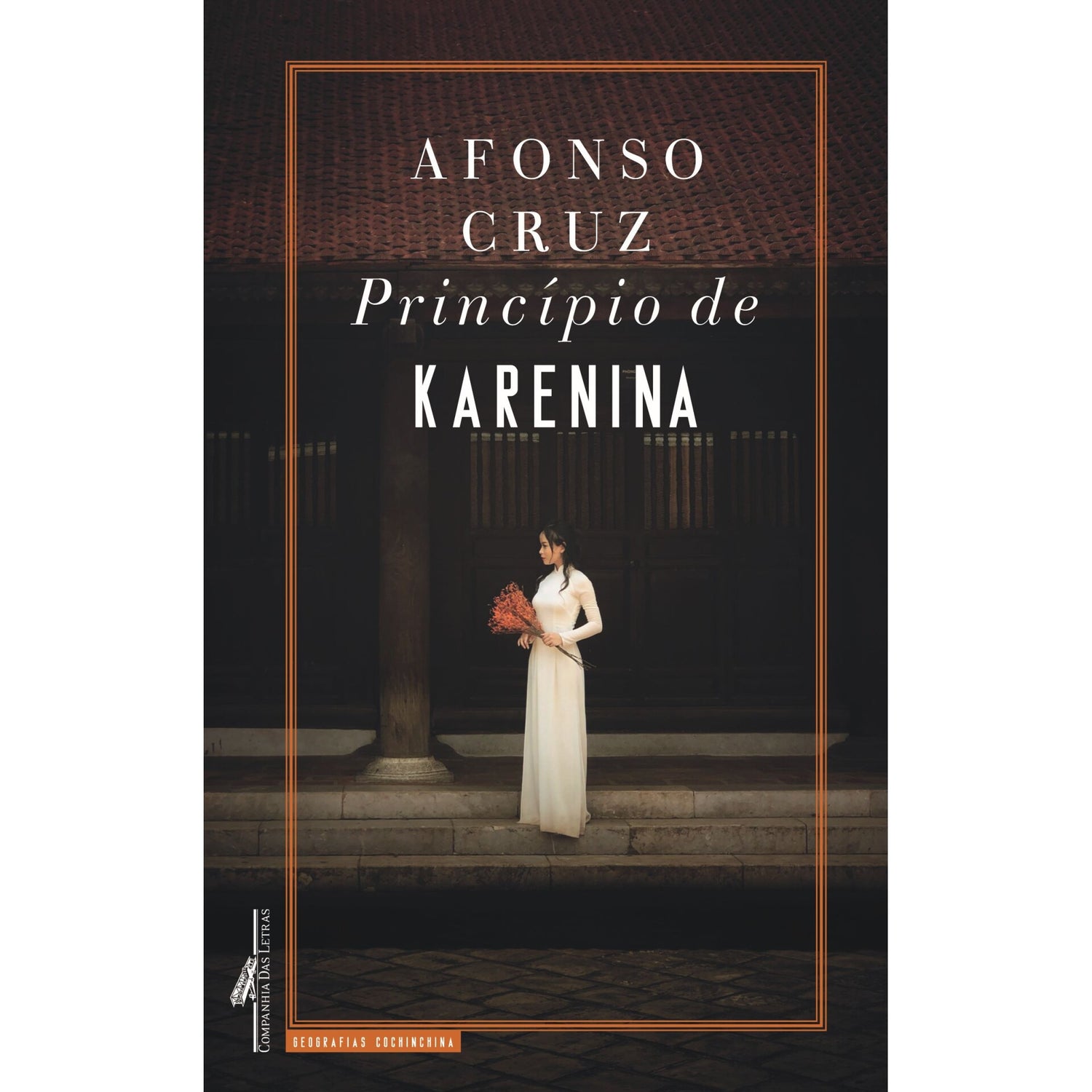 Princípio De Karenina de Afonso Cruz