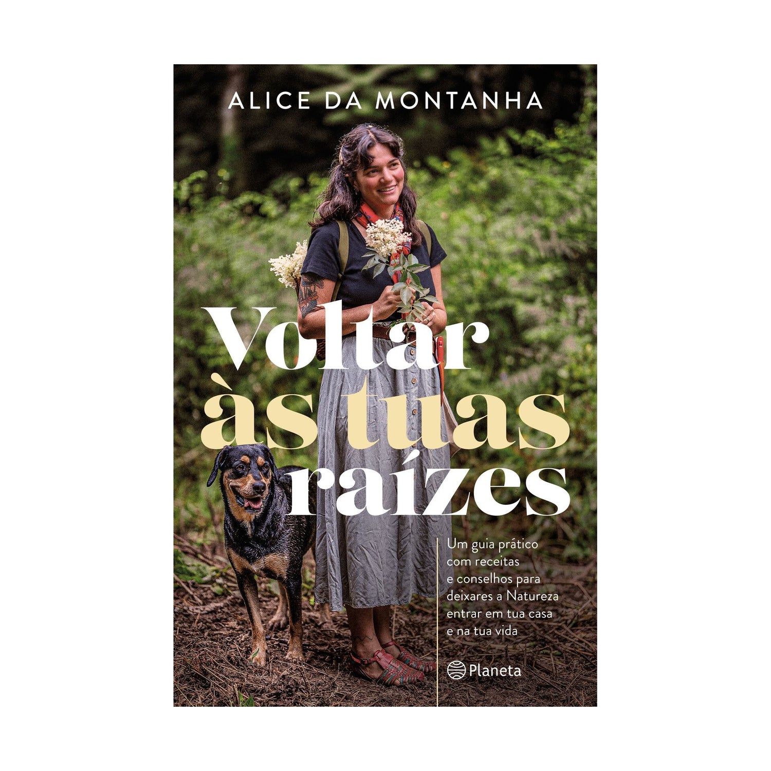 Voltar Às Tuas Raízes de Alice Da Montanha