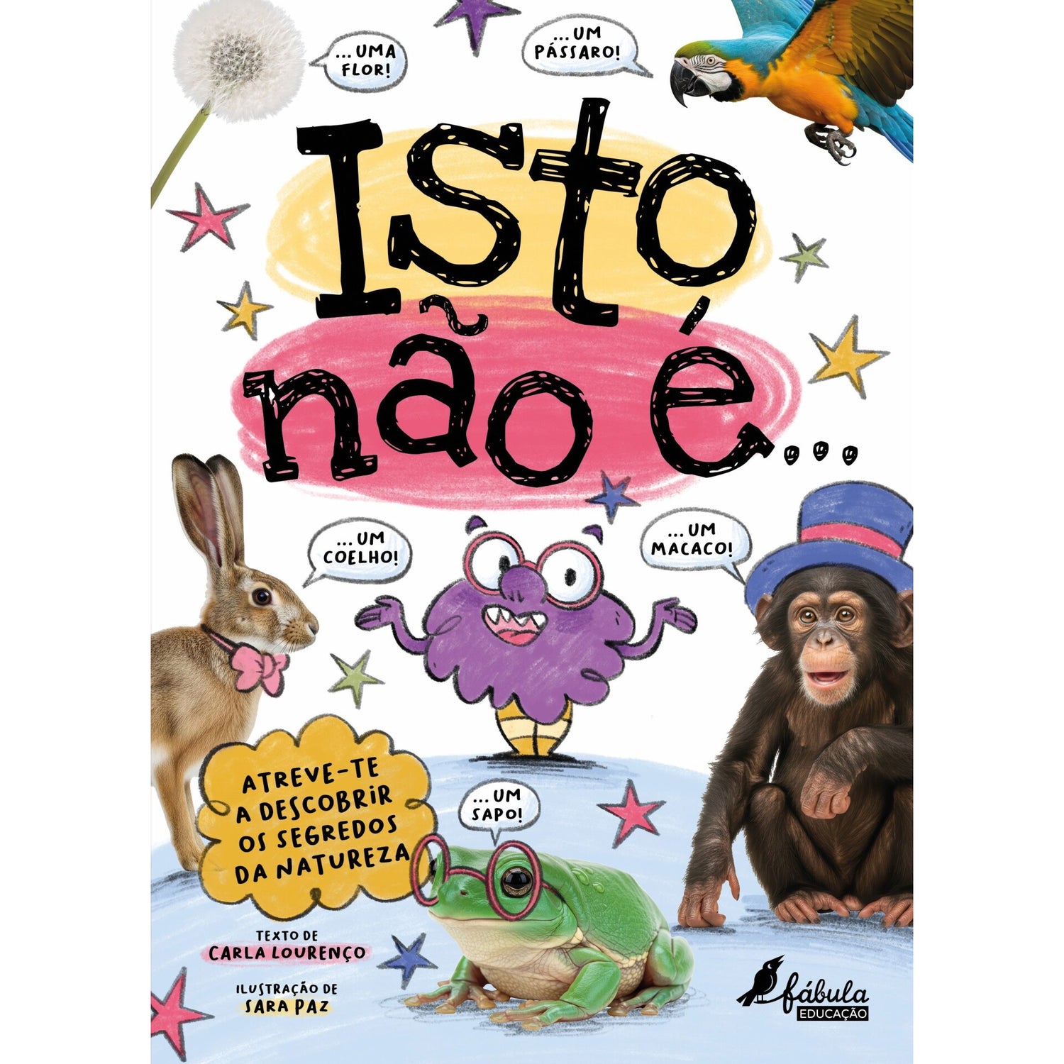 Isto Não É... de Carla Lourenço