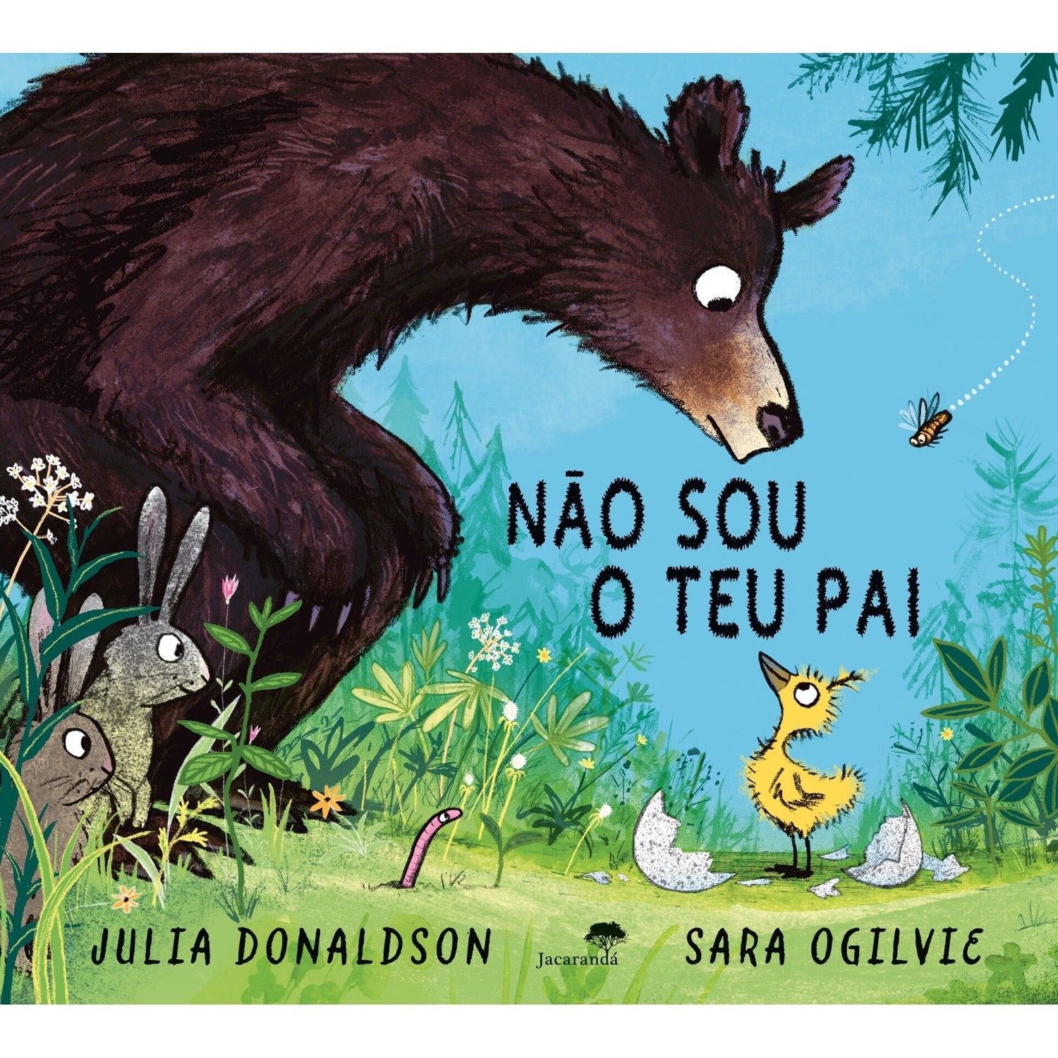 Não Sou O Teu Pai de Julia Donaldson, Sara Ogilvie