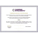 Caderno Inteligente Grande Breeze Caderno Inteli