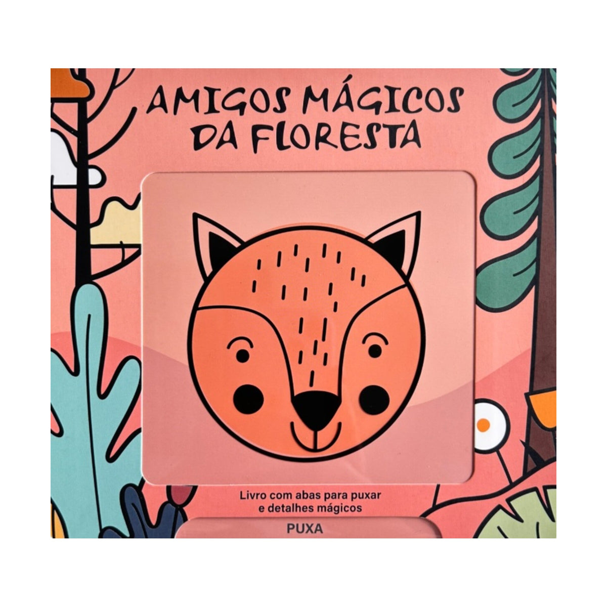 Amigos Mágicos Da Floresta de Imagebooks
