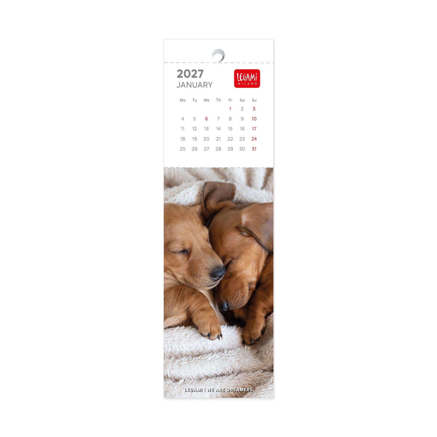Calendário Marcador Livro 2027 - Puppies