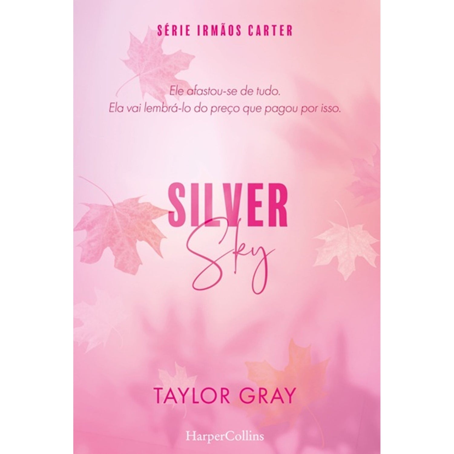 Silver Sky de Taylor Gray