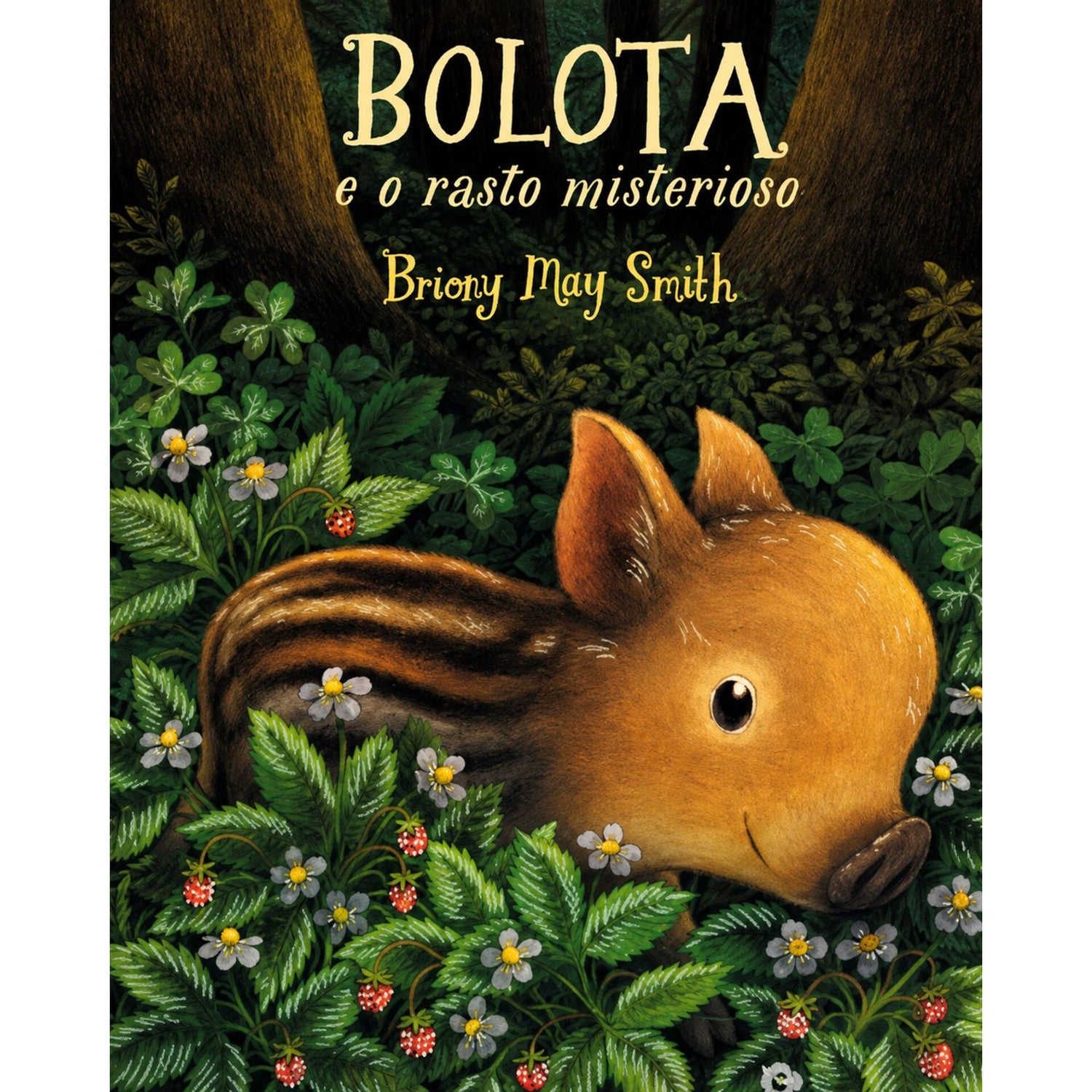 Bolota E O Rasto Misterioso de Briony May Smith